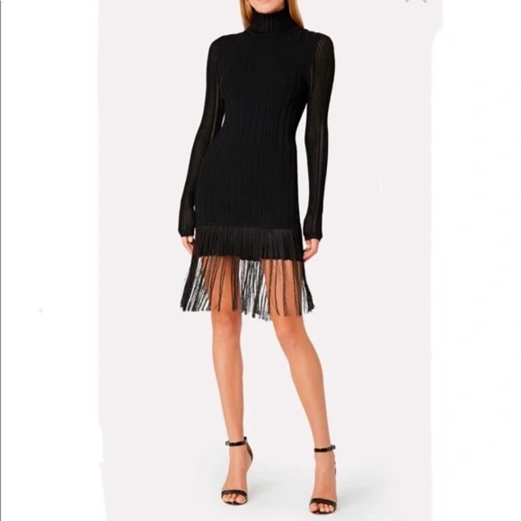 Milly Dresses & Skirts - Milly Fringe Dress. Long sleeve
